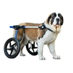 Invalīdu ratiņi suņiem XL