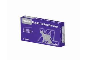 Bezrecepšu zāles suņiem