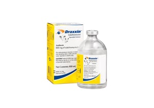 Injekcija govīm, cūkām un aitām