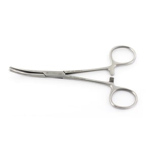 Saspiednes asinsvadu Klemmer