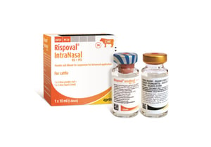 Rispoval RS+Pi3 IntraNasal deguna aerosols 5 devas N1 + aplikators