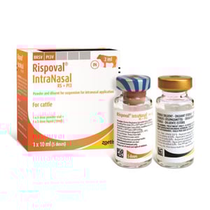 Rispoval RS+Pi3 IntraNasal deguna aerosols 5 devas N1 + aplikators