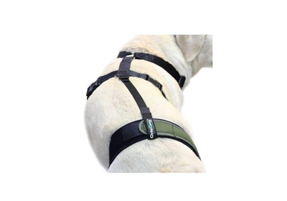 Savienojums ceļa ortozes nostiprināšanai pie krūšu siksnas