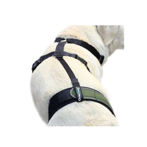 Savienojums ceļa ortozes nostiprināšanai pie krūšu siksnas