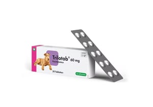 Recepšu veterinārās zāles