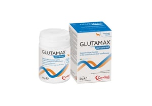 Papildbarība Glutamax advanced tabletes