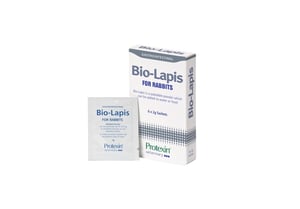 Bio-Lapis