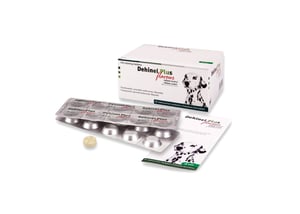 Dehinel Plus Flavour tabletes N100