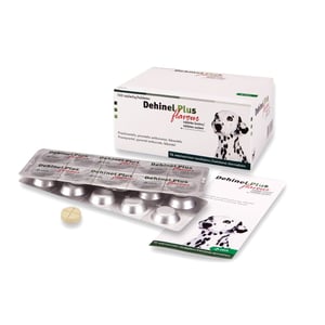 Dehinel Plus Flavour tabletes N100