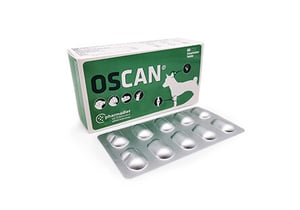 Oscan N60