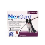 Nexgard dog L 10-25kg N3