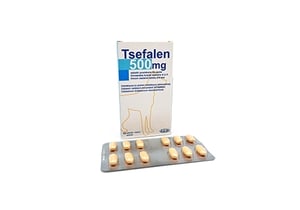Tsefalen 500mg
