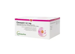 Clavaseptin 62,5mg