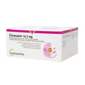 Clavaseptin 62,5mg
