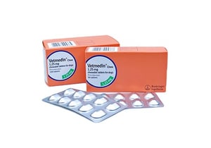 Vetmedin 1.25 mg, N50