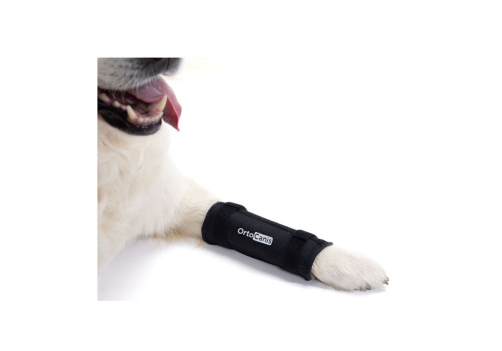Ortoze karpālajai locītavai, cieta - Ortocanis