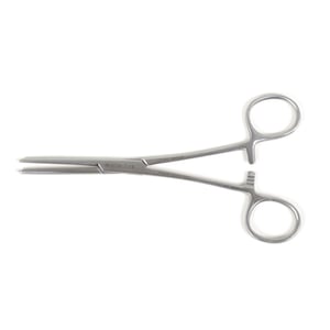 Saspiednes-asinsvadu-Klemmer-taisna