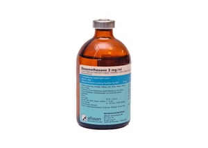Dexamethasone 2mg/ml, 100ml