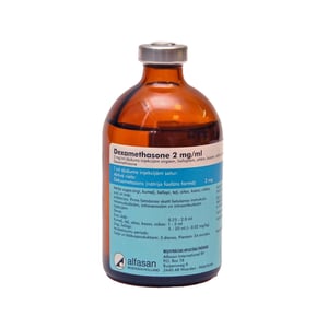 Dexamethasone 2mg/ml, 100ml