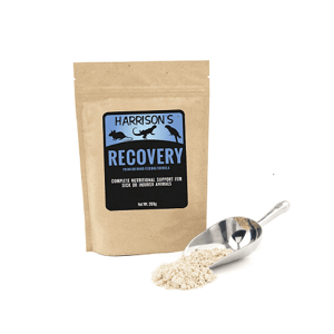 harrisons recovery 350g