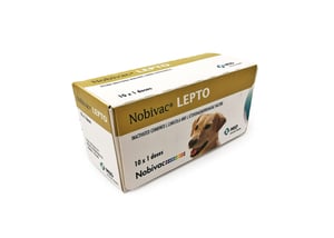 Nobivac Lepto