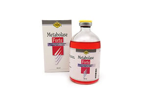 Metabolase Forte