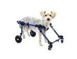 Invalīdu ratiņi suņiem Mini - 4