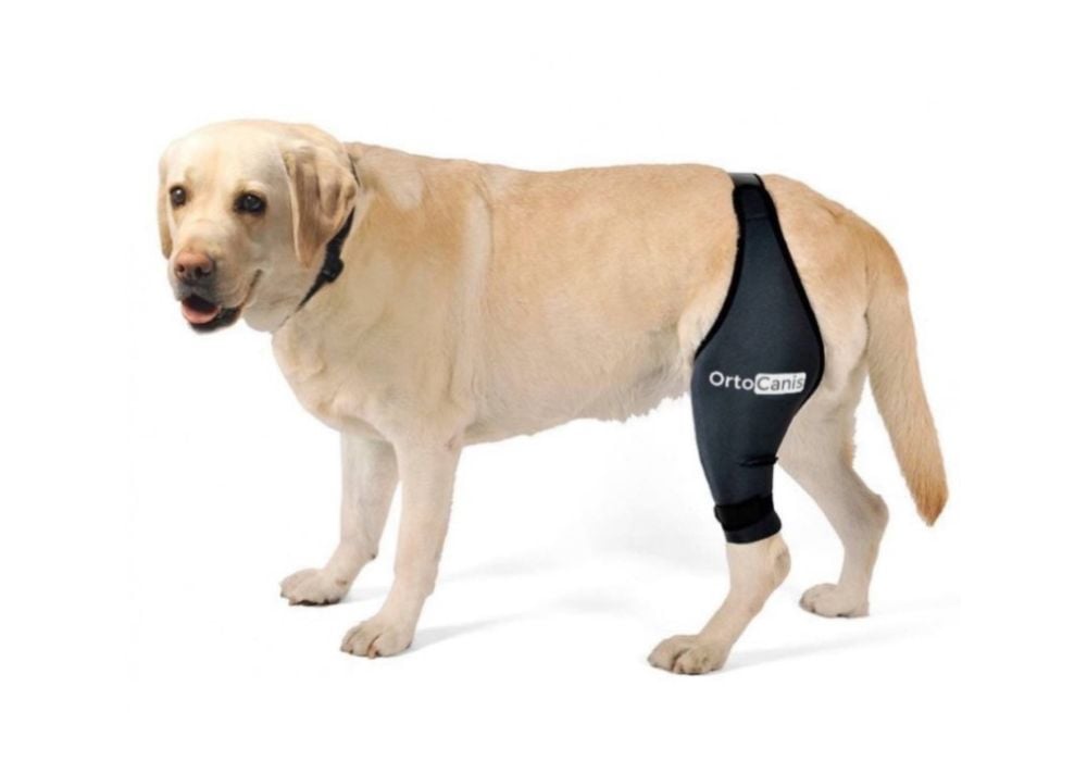Ortoze ceļa locītavai, kreisajai kājai Ortocanis