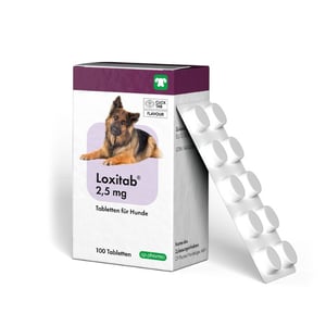 Loxitab 2,5mg tabletes, N100