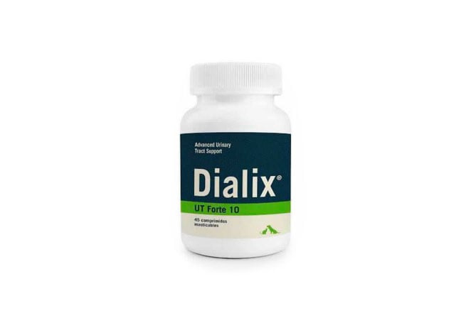 DIALIX UT Forte-10