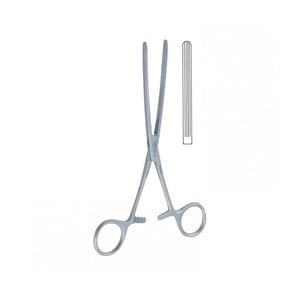 zarnu-saspiednes-doyen-baby