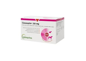 Clavaseptin 250mg