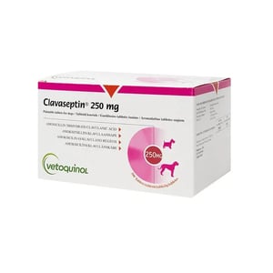 Clavaseptin 250mg