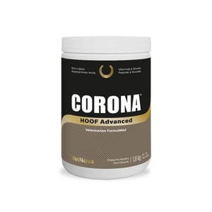 Corona hoof advanced 900 g