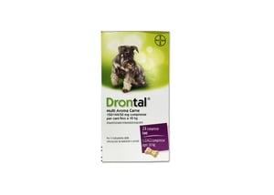 Drontal Dog Flavour tabletes N24