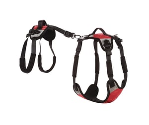 Pacēlājs suņiem "Lift & Go"