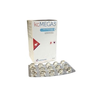 Papildbarība nieru mazspējas un kardiovaskulāro slimību parofilaksei