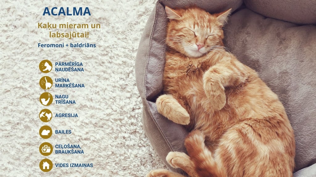 ACALMA CAT Feramoni un baldriāns stresa un nevēlamās uzvedības mazināšanai kaķiem un kaķēniem.