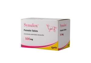 baktēriju ierosinātu infekciju ārstēšanai suņiem