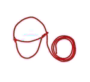 Apauši govīm, jaunlopiem - sarkani