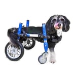 Invalīdu ratiņi suņiem SMALL-4