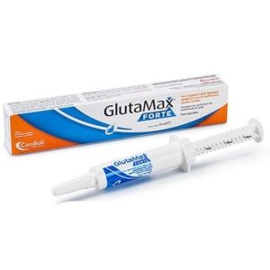 GlutaMax Forte pasta 15ml